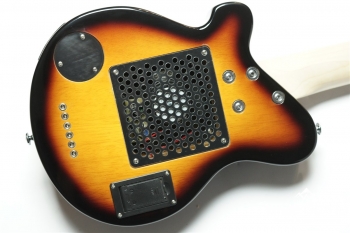 PGG-200 - Brown Sunburst